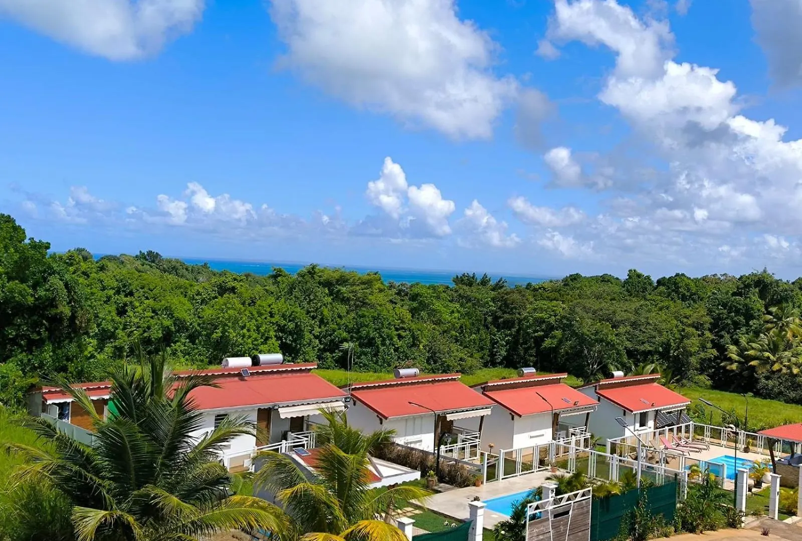 Les Papillons Dore - Coco location