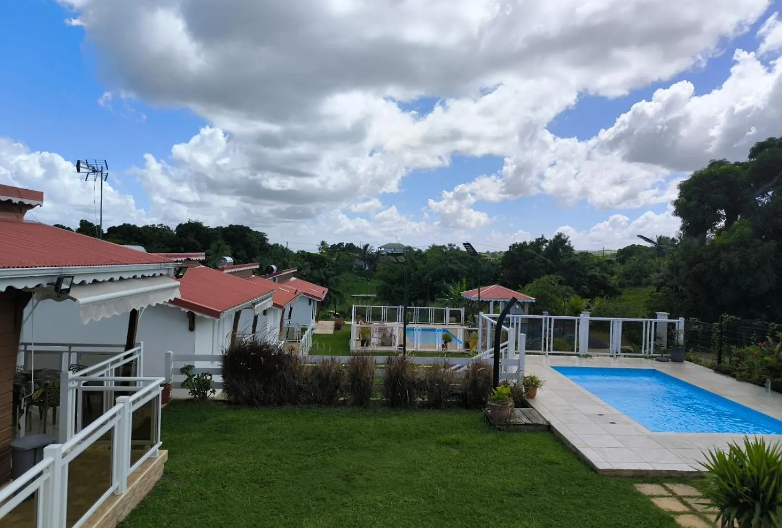 Les Papillons Dore - Coco Sainte-Rose Guadeloupe